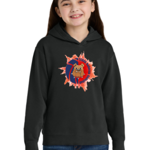 Comfort Colors Youth Lightweight Hooded Sweatshirt